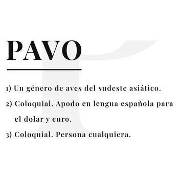 Plakát Plakát, Obraz - Pavo