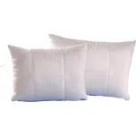 Brotex Aloe Vera polštář 50 x 70 cm