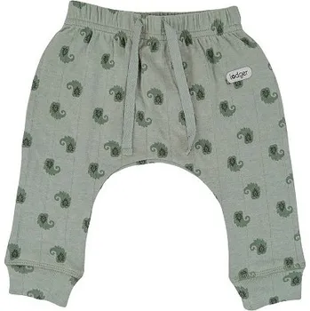 Kojenecké oblečení LODGER tepláčky JOGGER FLAME TRIBE Silt Green vel. 56