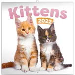 Presco Group nástěnný kalendář Kittens…