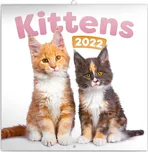 Presco Group nástěnný kalendář Kittens…
