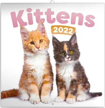 Kalendář Presco Group nástěnný kalendář Kittens 2022
