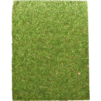 Dekorace do terária Repti Zoo Natural Moss Back&Bottom – mechové podloží 20x30cm