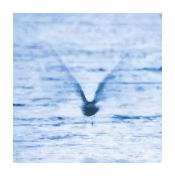 Zahraniční hudba CD Ryo Fukui: Mellow Dream 2018