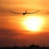 RC model letadla E-Flite Night Radian 2.0m BNF Basic