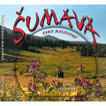 Cestování ŠUMAVA JAKO MALOVANÁ – Jan Kavale