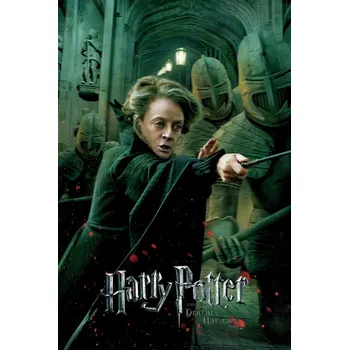 Plakát Plakát, Obraz - Harry Potter - Professor McGonagall