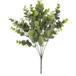 Autronic Eukalyptus v trsu 35 cm