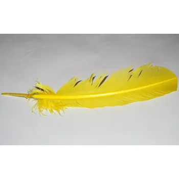 Karnevalový doplněk Barevná péra - 30 cm Barvažlutá