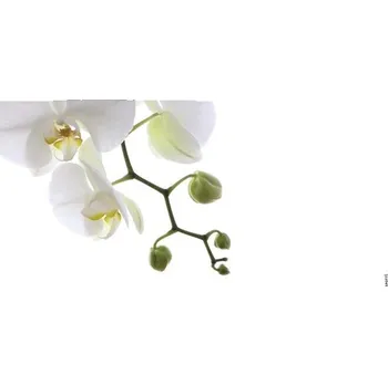 Obklad Koupelnová zádní stěna mySPOTTI aqua Orchidee phala 90x45 cm