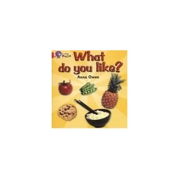 Kniha What do you like? - Owen, Anna