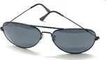 Brýle VISION POLARIZED pilot 8703A