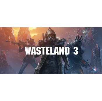 Počítačová hra Wasteland 3 (PC) (Steam)