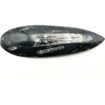 Přírodní kámen Magieprirody.cz Fosilie Orthoceras 155 mm (Maroko) #K760