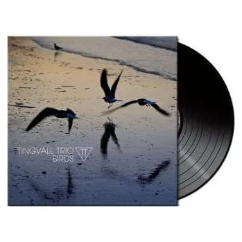 Zahraniční hudba LP Tingvall Trio: Birds (180g) (black Vinyl) 2023