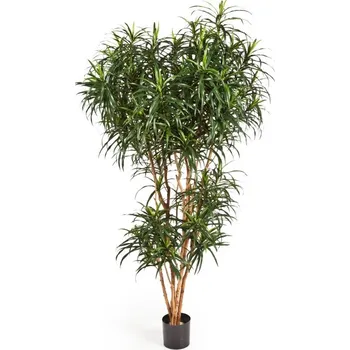 umělá květina Luxusní umělá palma DRACAENA REFLEXA ANITA STROM, 210 cm