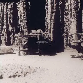 Zahraniční hudba CD Leifur James: Angel In Disguise 2020