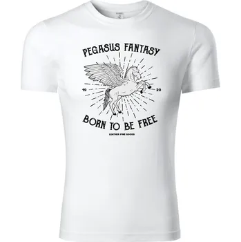 Chlapecké tričko Fenomeno Dětské tričko Pegasus fantasy Velikost: 110 cm/4 roky