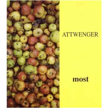 Zahraniční hudba CD Attwenger: Most 1991