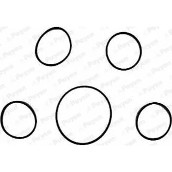 Těsnění motoru Sada těsnění, koleno sacího potrubí, HA5005