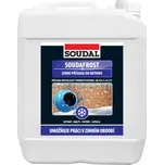 Soudal SOUDAFROST 5l