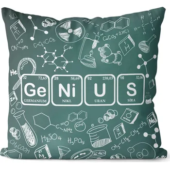 Dekorativní polštářek Polštář 40 x 40 cm - Ge Ni U S