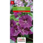 Osiva Moravia Sléz maurský 1,2 g