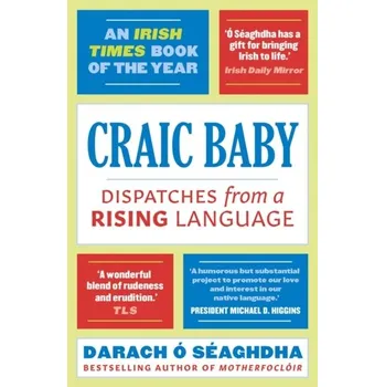 Craic Baby - O'Seaghdha, Darach [EN] (2019, Taschenbuch, Head of Zeus)