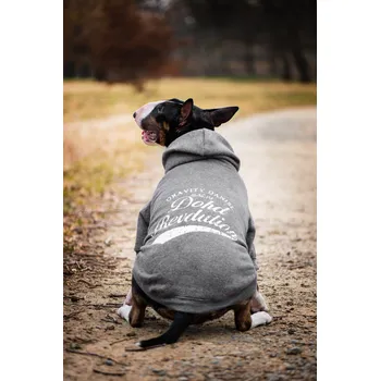 Obleček pro psa Vsepropejska Lye mikina pro psa Barva: Šedá, Délka zad (cm): 24, Obvod hrudníku: 36 - 40 cm