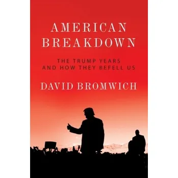 American Breakdown - Bromwich, David