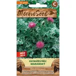 MoravoSeed Ostropestřec mariánský 60 ks