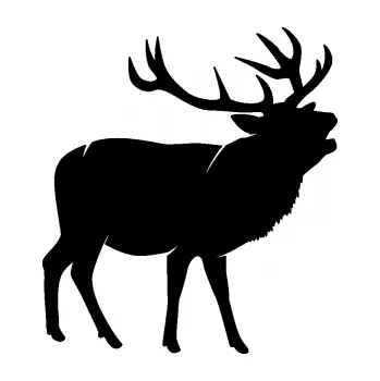 Samolepící dekorace SAMOLEPKA Jelen 005 pravá (01 - černá) NA AUTO, NÁLEPKA, FÓLIE, POLEP, TUNING, VLASTNÍ TEXT, TISK, AUTOSAMOLEPKY.cz, POLEPY, OBRÁZEK, LOGO, SAMOLEPKY