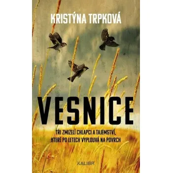 Vesnice - Kristýna Trpková (2022, pevná)