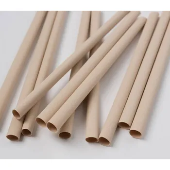 Bambusová brčka Bamboo Europe Smoothie 560 ks Délka: 210 mm