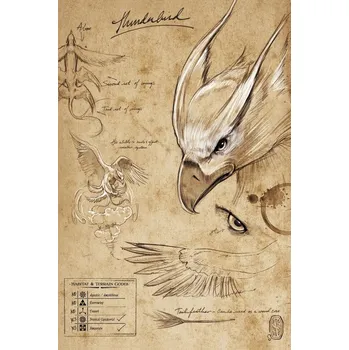 Plakát Plakát, Obraz - Fantastická zvířata - Thunderbird