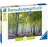 Puzzle Ravensburger Březový les 1000 dílků