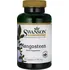 Přírodní produkt Swanson Full Spectrum Mangosteen 500 mg 100 cps.