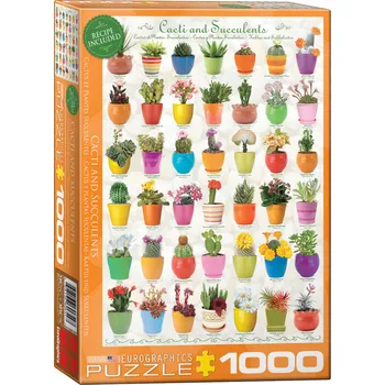 Puzzle Eurographics Kaktusy a sukulenty 1000 dílků