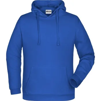 Pánské oblečení Daiber Pánská mikina s kapucí Basic Hoody JN796 Barva: Modrá královská, Velikost: L
