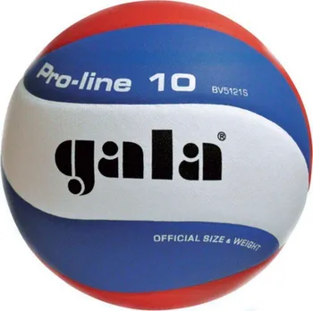 Volejbalový míč Gala Pro Line 10 - BV 5121 S