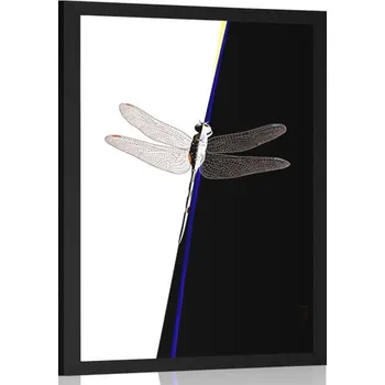 Plakát Dovido Plakát souměrnost vážky