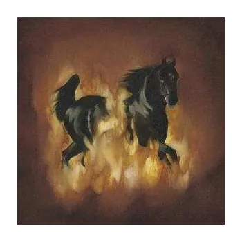 Zahraniční hudba LP The Besnard Lakes: The Besnard Lakes Are The Dark Horse 2007