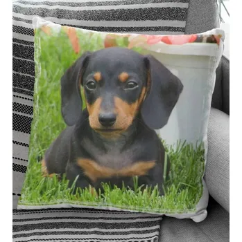 Dekorativní polštářek Polštář Pes 13 29 x 29 cm