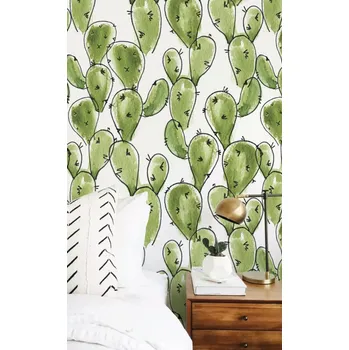 Tapeta Coloray Fototapeta Kreslený mexický kaktus Samolepící Fototapeta Vliesová 250 x 250 cm coloraydecor-f-ss-390412399