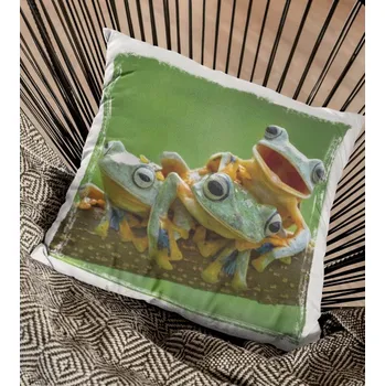 Dekorativní polštářek Polštář Žabky 38 x 38 cm