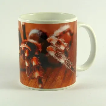 Hrnek pavouk Tarantule