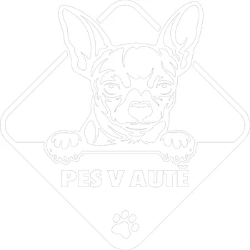 Samolepicí dekorace na vozidlo Pes v autě Čivava samolepka na auto Červená Velikost C