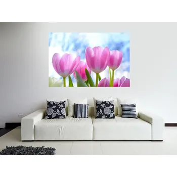 Samolepící dekorace Růžové tulipány samolepka na zeď 45 x 30 cm