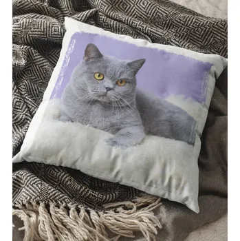 Dekorativní polštářek Polštář Kočka 3 29 x 29 cm