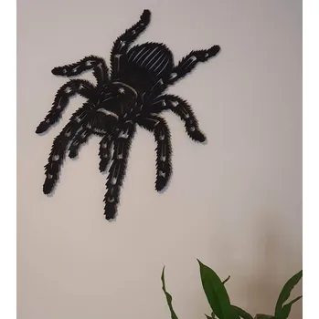 Obraz Pavouk Tarantule obraz Světle hnědá lazura